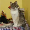 Отзыв от Галина Лапшина